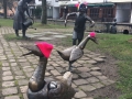 IMG-20170307-WA0017