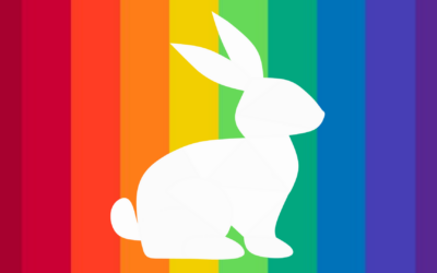 PaderPride 2025 – Vielfalt beginnt mit Sichtbarkeit