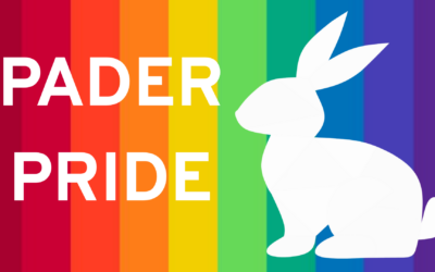 PaderBUNT: PaderPride setzt Zeichen für Vielfalt und Zusammenhalt